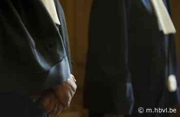 Man uit Borgloon schiet 8 keer op buurman en riskeert 12 maanden cel - Het Belang van Limburg