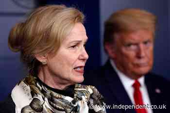 Mike Pence adviser claims she was told to spy on Deborah Birx because she ‘was not to be trusted’