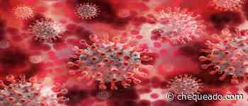 Qué significan y por qué preocupan las nuevas variantes del coronavirus - Chequeado