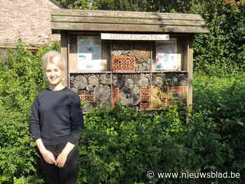 Gastvrije gemeente gaat bijenhotels plaatsen - Het Nieuwsblad