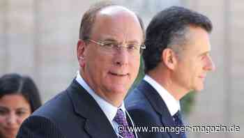 Blackrock-Chef Fink drängt Konzerne zu mehr Klimaschutz