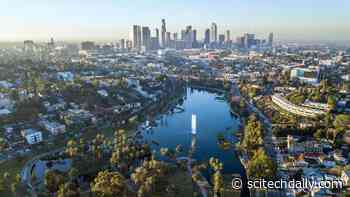 Urban Greenery Contributes More to Greenhouse Gas Emissions Than Researchers Anticipated