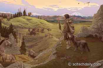 First People to Enter the Americas Were Accompanied by Their Dogs