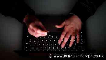 Woodland Trust victim of ‘sophisticated, high-level cyber-incident’