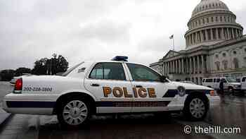 Capitol Police chief apologizes, admits to department's failures in riot