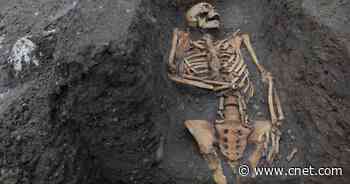 Medieval human skeletons show trauma 'recorded on the bones'     - CNET