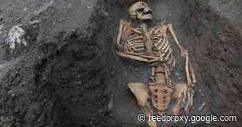 Medieval skeletons show social inequality 'recorded on the bones'     - CNET