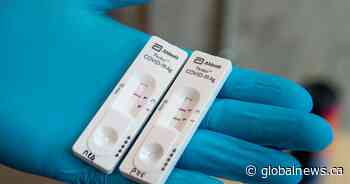 How rapid tests are being used to test for COVID-19 across Canada