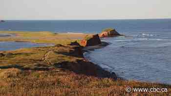 Deep water temperatures hit 'scary' highs in Gulf of St. Lawrence