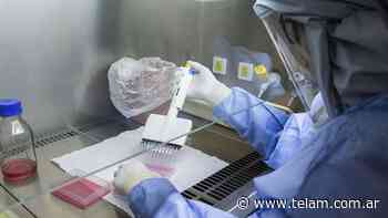 Coronavirus: 219 personas murieron y reportaron 10.409 nuevos casos en el país - Télam