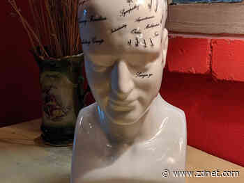 Predictive policing is just racist 21st century cyberphrenology