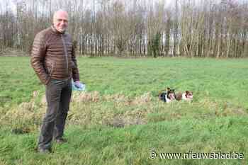 Er was veel vraag naar hondenspeelweide en nu heeft gemeente ook terrein op het oog