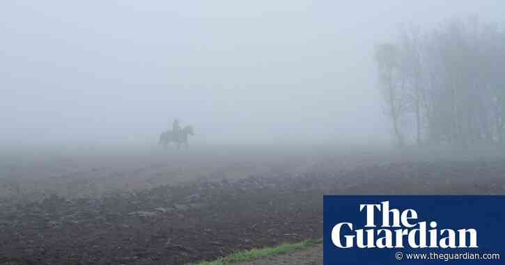 Country diary: the camera captures a world curtained by fog