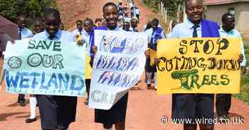 Educating young women is the climate fix no one is talking about