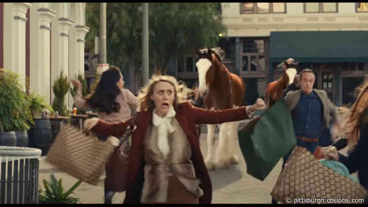 WATCH: ‘Your Cousin From Boston’ Sets Clydesdales Free In Sam Adams Super Bowl Ad