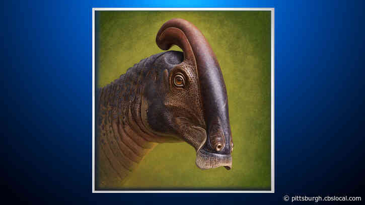 After Decades Of Disagreement, First New Skull Of Parasaurolophus Discovered In Nearly 100 Years Solves Mystery