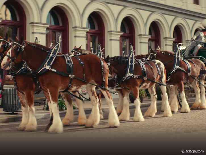 Sam Adams spoofs Bud’s Clydesdales and Walgreens hires Starbucks’ Brewer: Wednesday Wake-Up Call