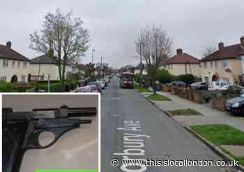 Croydon: Firearms and ammunition recovered  in Norbury