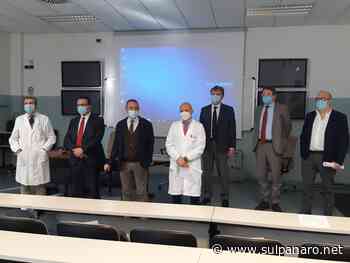 Terapia cellulare per trattare i pazienti Covid, parte da Modena lo studio nazionale - SulPanaro