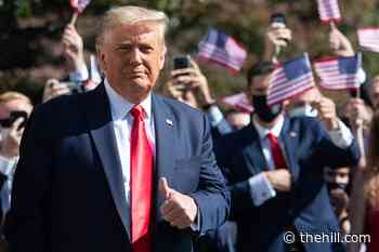 Trump's standing rises among Republicans: survey