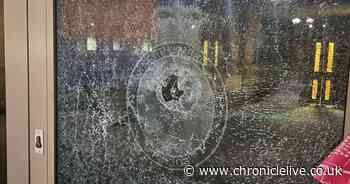 Vandal fined after smashing police station door