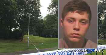 Baby-faced brute beat and raped teenager in shocking park attack