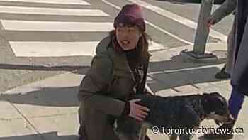 Woman sought by Toronto police in 'hate-motivated' assault near Yonge-Dundas Square