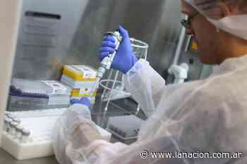 Coronavirus en Argentina: casos en Coronel Suárez, Buenos Aires al 27 de enero - LA NACION