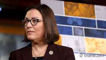 Moderate Democrats press for auto-stabilizers in COVID-19 aid package