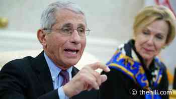 Fauci defends Birx: 'She had to live in the White House'