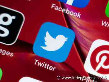 Twitter troll accused of telling people they could cast ballot by text is arrested for voter suppression
