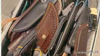 N.L. man reportedly trying to 'stop the election' facing 4 charges after arrest outside candidate's office