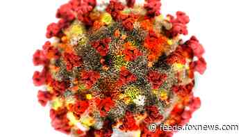 Low on virus cases, deaths, Taiwan quarantines 5,000 after COVID-19 hospital cluster