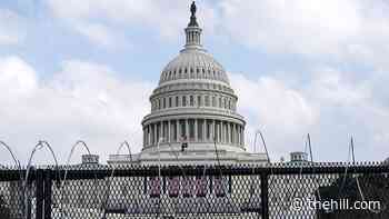 Second police officer dies by suicide after Capitol attack