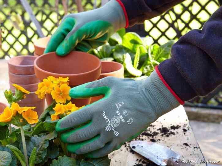 The best gardening and landscaping tools in 2021