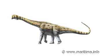 Le plus grand titanosaure européen découvert à Velaux ! - Maritima.info