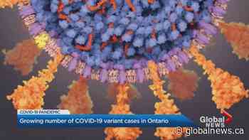 Ontario reports more than 45 new cases of COVID-19 variant
