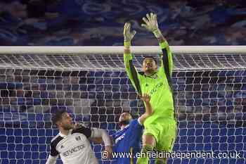 Scott Parker praises Alphonse Areola after Fulham keep Brighton at bay - Enfield Independent