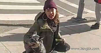 Toronto police looking for suspect in hate-motivated attack at Yonge-Dundas Square - blogTO