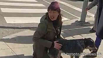 Woman sought in hate-motivated assault in downtown Toronto - CityNews Toronto