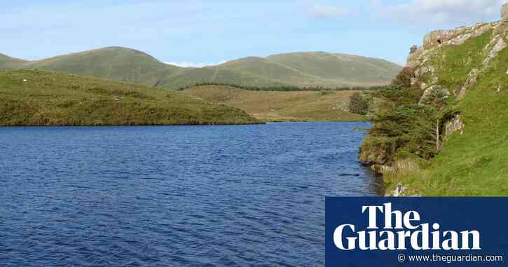 Country diary: On this mystical upland, a case of mistaken identity