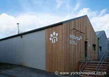 Raw dog food maker Naturaw sinks its teeth into new premises - Yorkshire Post