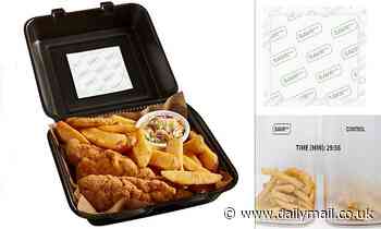 Scientists develop 14p patches for food containers that stop chips from going soggy - Daily Mail