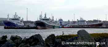 Pelagic fish a 'climate smart food source' - Shetland News