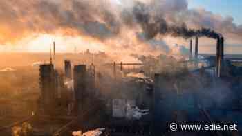 Global carbon market grew 20% in 2020