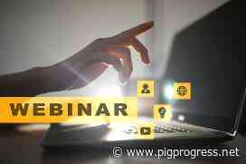 Soon to come: From feed to food webinar - Pig Progress