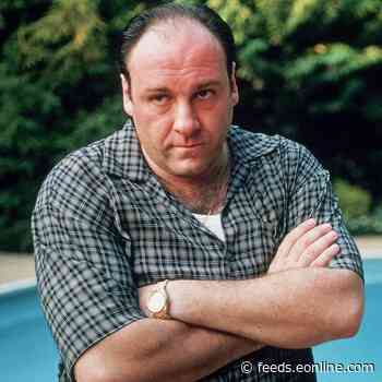 See James Gandolfini's Real-Life Son as a Young Tony Soprano in the Highly Anticipated HBO Max Prequel