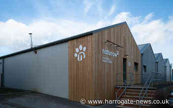 Raw dog food manufacturer sinks teeth into tasty new premises — Harrogate Informer - Harrogate Informer