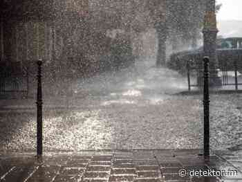 Forschungsquartett | Blau-grüne Infrastruktur – Starkregen-Management in Städten - detektor.fm