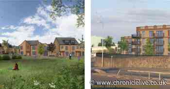 Hundreds of new homes could be coming to Gateshead if housing proposals are approved - Chronicle Live